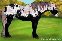 Horse Color:Nacre White Spotted Bay Ice Splash Appaloosa