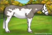 Horse Color:Smoky Grullo Splash Frame 