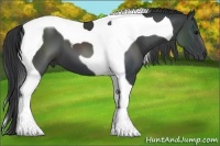 Horse Color:Black Tobiano