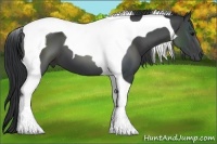 Horse Color:Black Tobiano