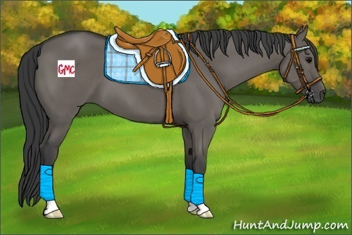 Horse Color:Grullo 