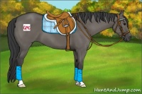 Horse Color:Grullo 