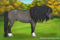 Horse Color:Grullo Rabicano 