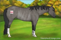 Horse Color:Grullo Rabicano 