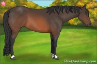 Horse Color:Brown 