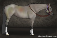 Horse Color:Grullo 