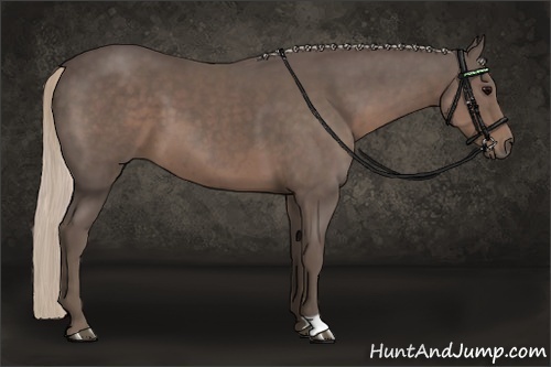 Horse Color:Silver Black 