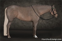 Horse Color:Silver Black 