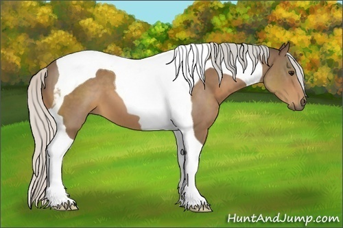 Horse Color:Silver Brown Tobiano 