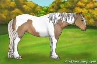 Horse Color:Silver Brown Tobiano 