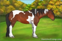 Horse Color:Bay Tobiano 