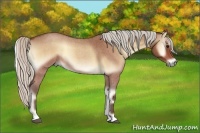 Horse Color:Silver Bay Roan Onyx 