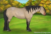 Horse Color:Brown Dun Sabino 