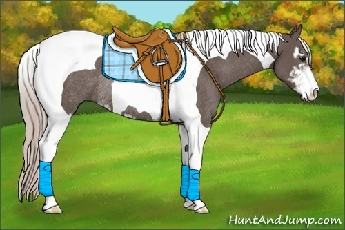 Horse Color:Silver Black Sabino Tobiano Rabicano 