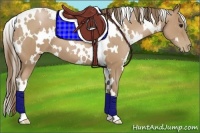 Horse Color:White Spotted Black Pearl 