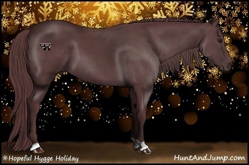 Horse Color:Chocolate Black Chinchilla 