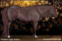 Horse Color:Chocolate Black Chinchilla 