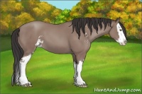 Horse Color:Classic Champagne Sabino Splash 