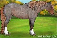 Horse Color:Liver Red Roan 