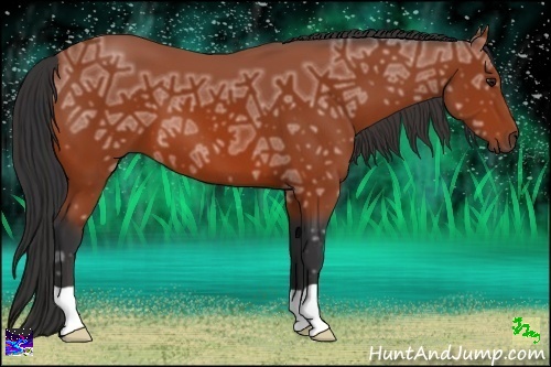 Horse Color:Bay Ice 