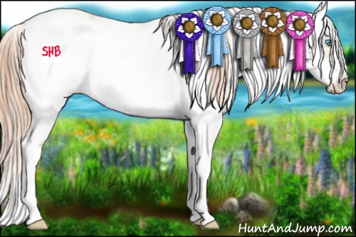 Horse Color:Buckskin Pearl Sabino Frame 