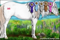 Horse Color:Buckskin Pearl Sabino Frame 