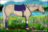 Horse Color:Silver Buckskin Roan Dun 