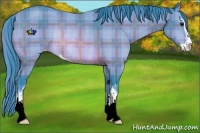 Horse Color:Watercolor Plaid  Bay Sabino Appaloosa Rabicano 