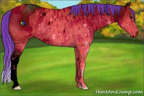 Horse Color:ERROR: UNKNOWN ANOMALY
