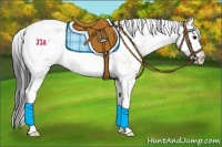 Horse Color:Brown Dun Sabino Rabicano 