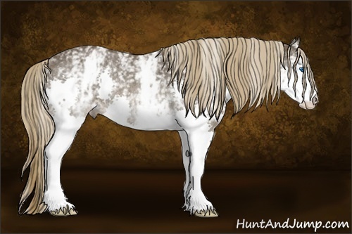 Horse Color:White Spotted Liver Chestnut Splash Rabicano 