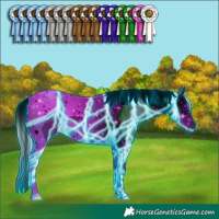 Horse Color:ERROR: UNKNOWN ANOMALY