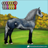 Horse Color:ERROR: UNKNOWN ANOMALY