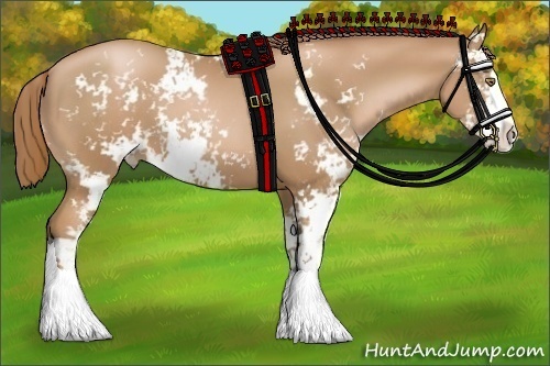 Horse Color:Chestnut Pearl Sabino 