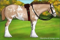 Horse Color:Chestnut Pearl Sabino