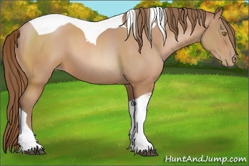 Horse Color:Bay Pearl Sabino Tobiano 