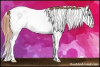 Horse Color:Bay Splash Appaloosa