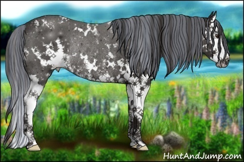 Horse Color:Painted White Spotted Liver Chestnut Splash Rabicano