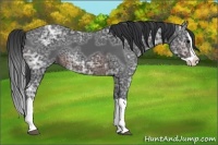 Horse Color:Brown Ice Splash 