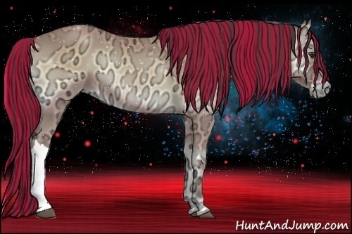 Horse Color:Painted Buckskin Ice Onyx