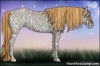 Horse Color:Painted Buckskin Ice Pearl Onyx 