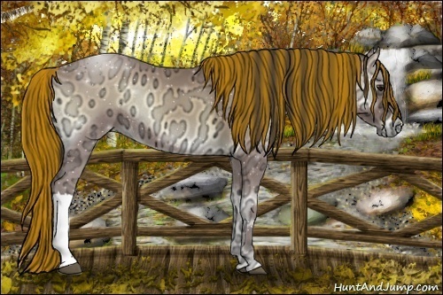 Horse Color:Painted Buckskin Ice Onyx Rabicano