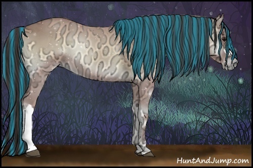 Horse Color:Painted Buckskin Ice Onyx 