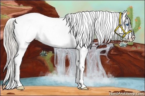 Horse Color:Palomino Roan Splash Varnish Rabicano 