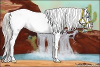 Horse Color:Palomino Roan Splash Varnish Rabicano