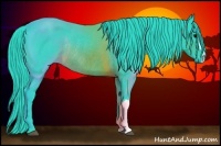 Horse Color:Watercolor Brown Rabicano