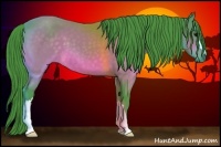 Horse Color:Watercolor Brown 