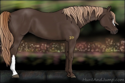 Horse Color:Liver Chestnut