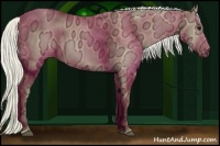 Horse Color:Silver Smoky Grullo Ice 