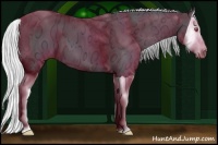 Horse Color:Silver Smoky Black Chinchilla Ice Splash 